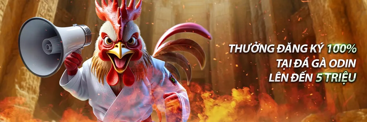 Tổng quan tính năng ứng dụng ku888