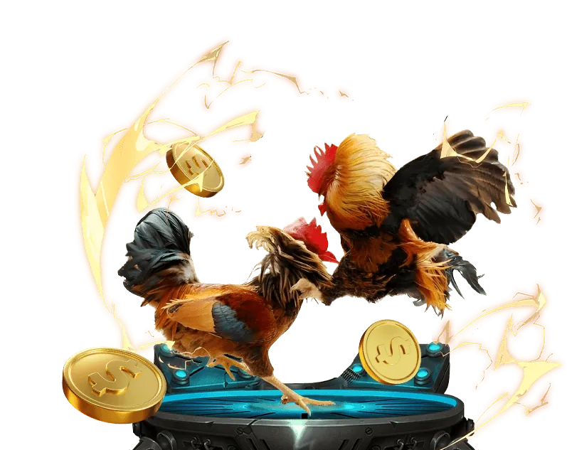 Tổng quan về đá gà ku888